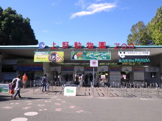 上野動物園 の人気お菓子お土産ランキング サービス For Trip